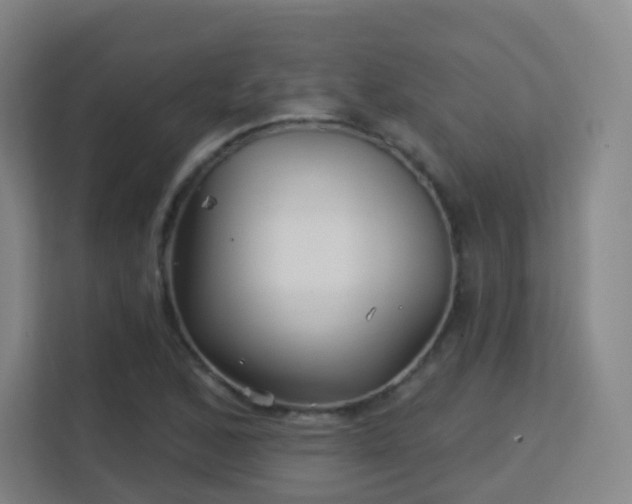 X0000113161168200909111008