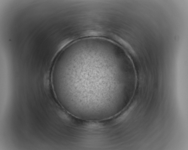 X0000113161170200909111008