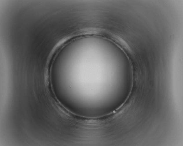 X0000113161172200909111008