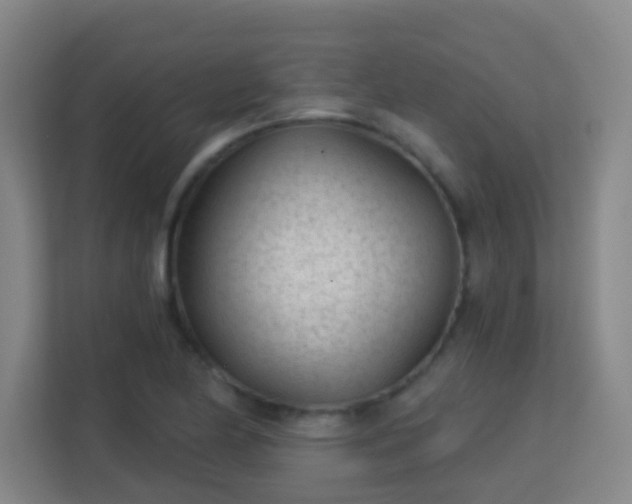 X0000113161174200909111008