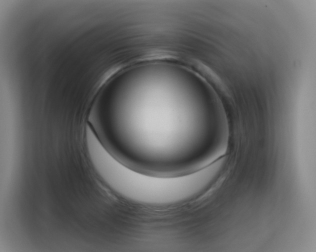 X0000113161177200909111008