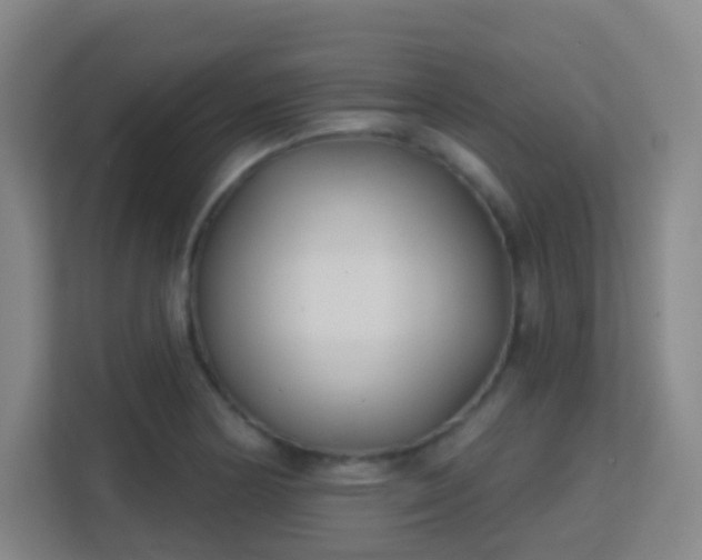 X0000113161178200909111008