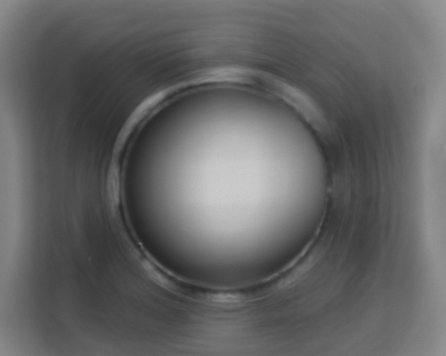 X0000113161180200909111008