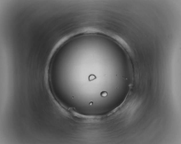 X0000113161183200909111008