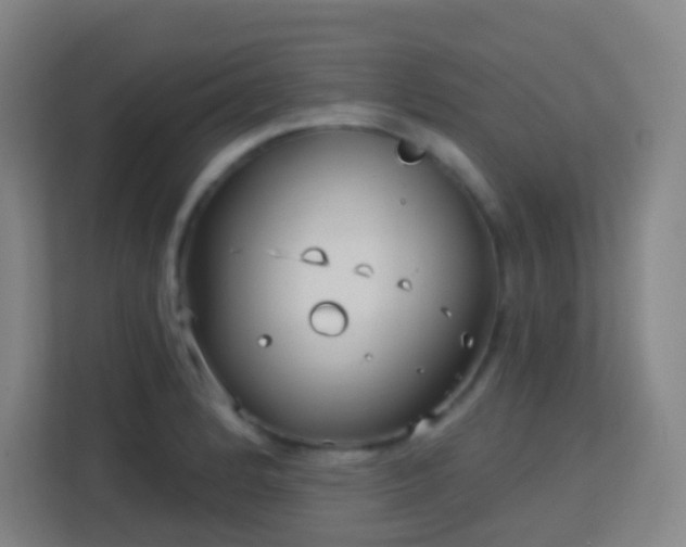 X0000113161184200909111008