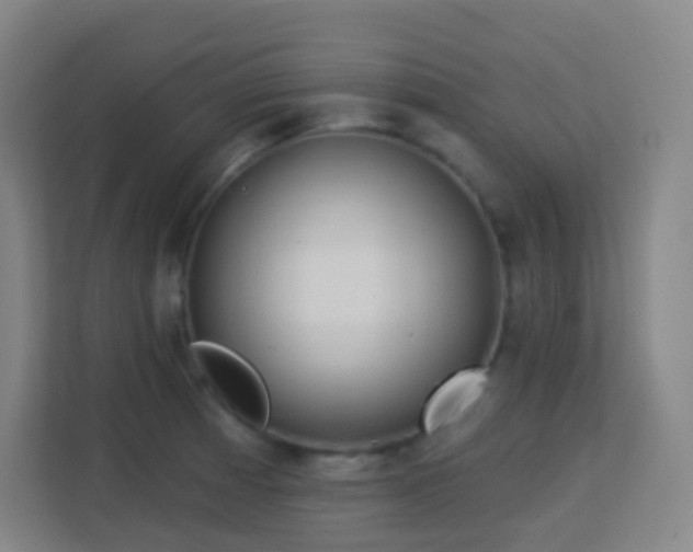 X0000113161185200909111008