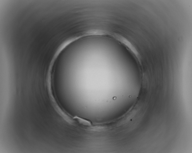 X0000113161187200909111008