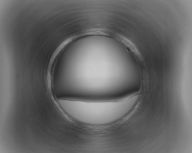 X0000113161188200909111008