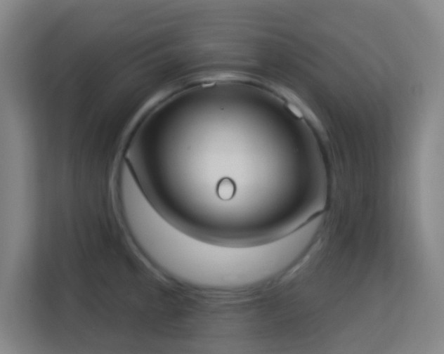 X0000113161189200909111008