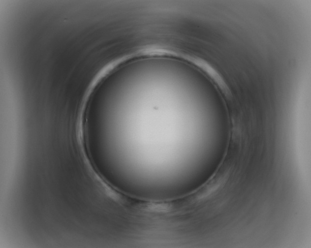 X0000113161191200909111008