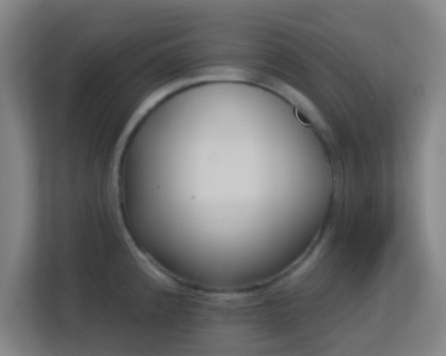 X0000113161192200909111008