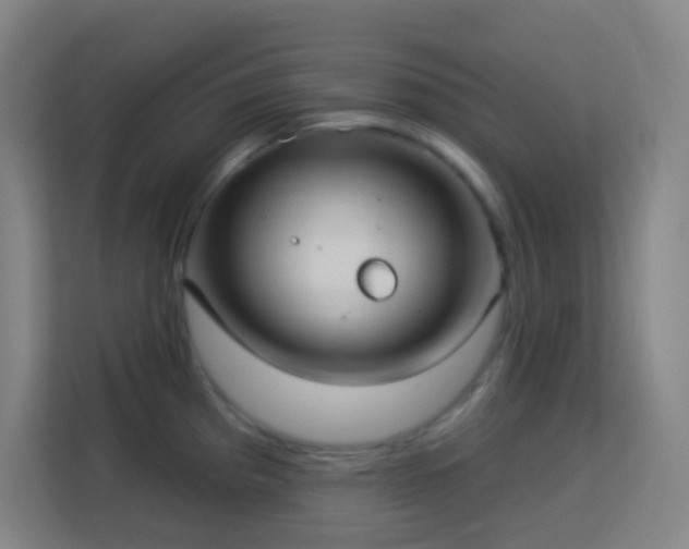 X0000113161193200909111008