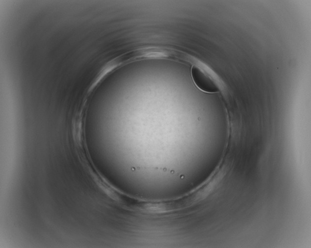 X0000113161194200909111008