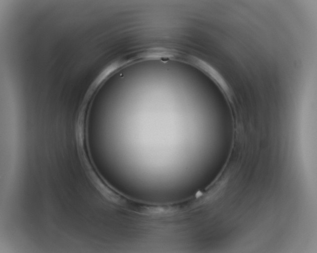 X0000113161195200909111008