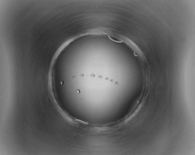 X0000113161196200909111008