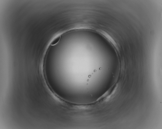 X0000113161197200909111008