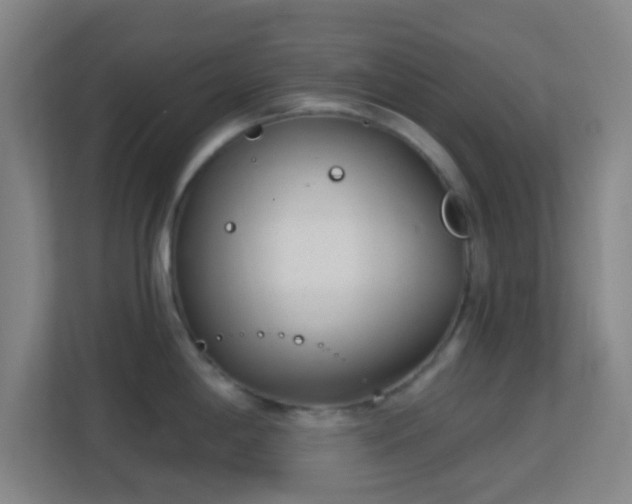 X0000113161198200909111008