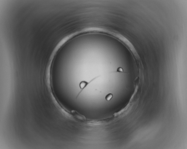 X0000113161199200909111008