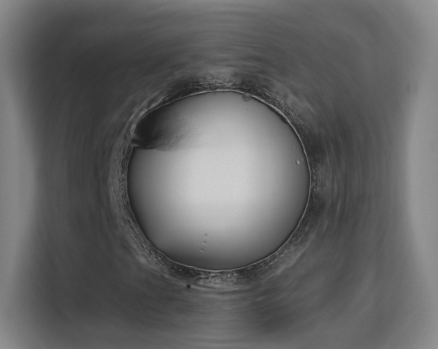 X0000113161201200909111007