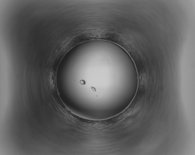 X0000113161202200909111007