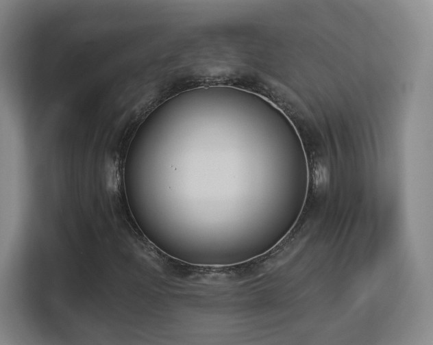 X0000113161204200909111007