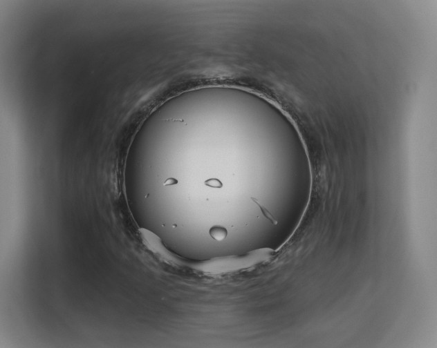 X0000113161205200909111007