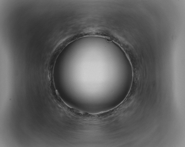 X0000113161206200909111007