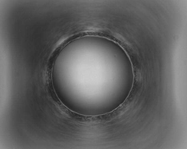 X0000113161208200909111007