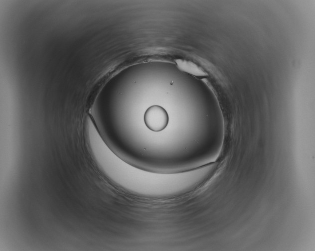 X0000113161209200909111007