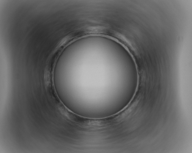 X0000113161211200909111007