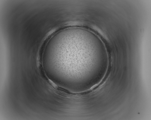 X0000113161213200909111007