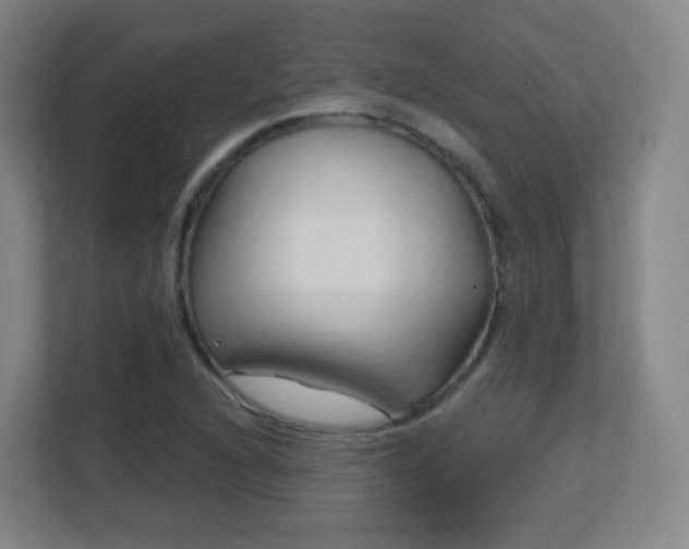 X0000113161216200909111007