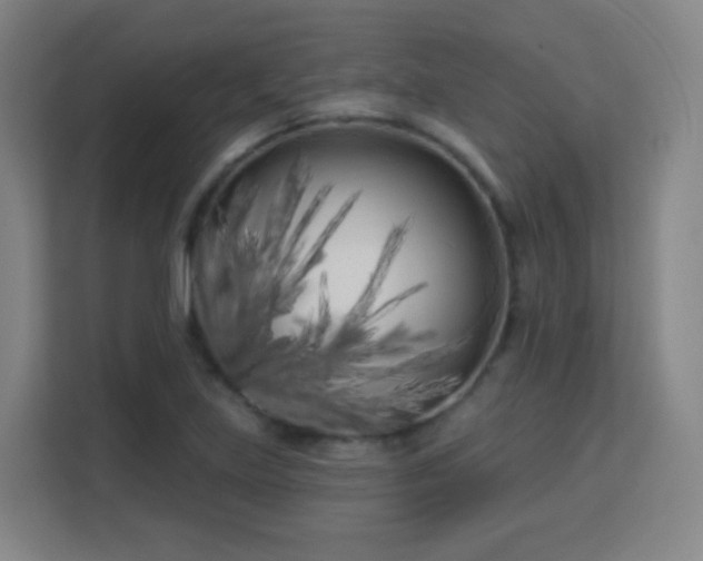 X0000113161219200909111007