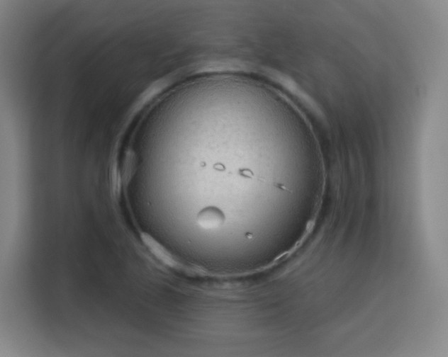 X0000113161221200909111007