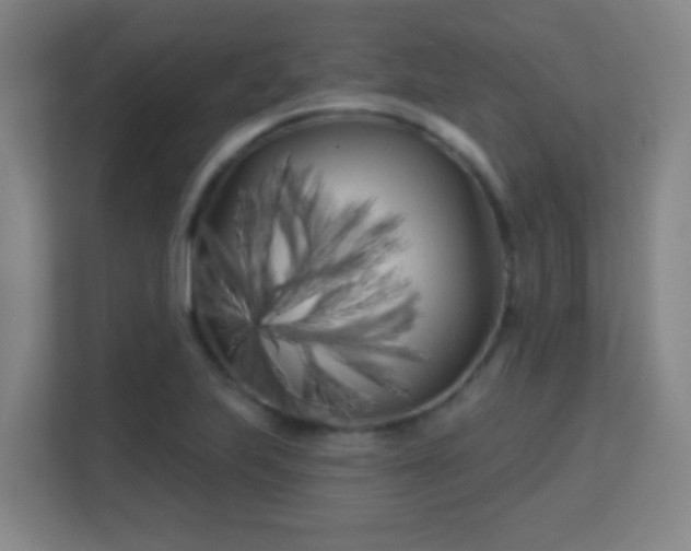 X0000113161223200909111008