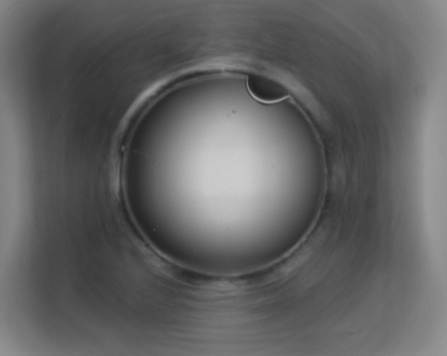 X0000113161224200909111008