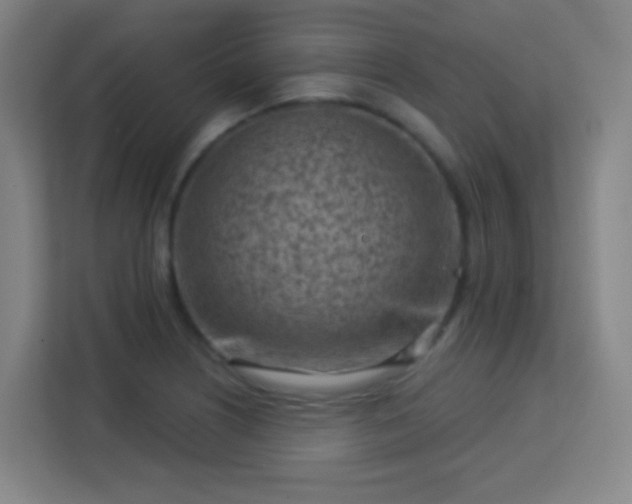 X0000113161226200909111008