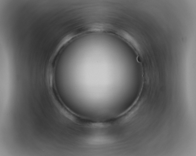 X0000113161227200909111008