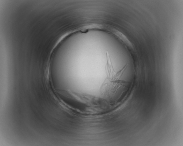X0000113161228200909111008