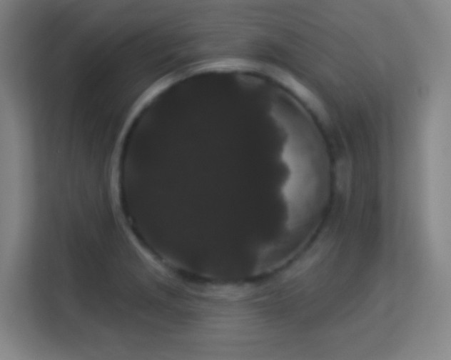 X0000113161229200909111008