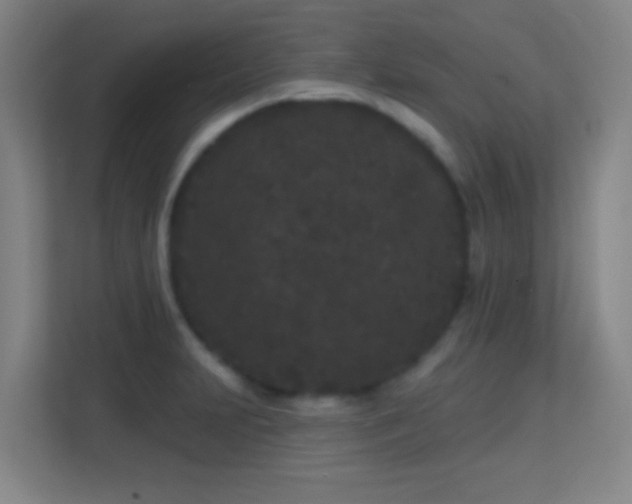 X0000113161231200909111008