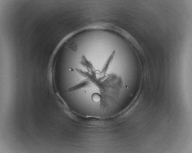 X0000113161232200909111008