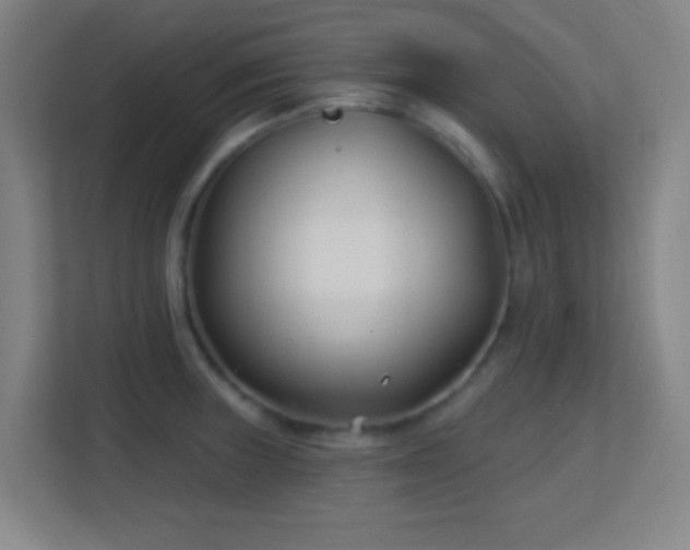 X0000113161235200909111008