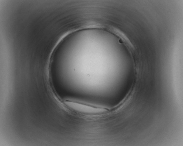 X0000113161236200909111008