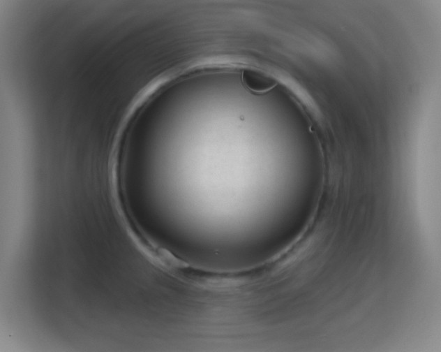 X0000113161237200909111008