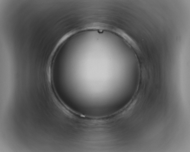 X0000113161238200909111008