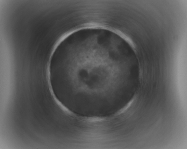 X0000113161239200909111008