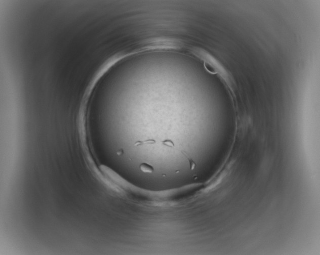 X0000113161243200909111008