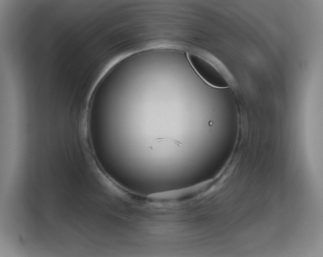 X0000113161244200909111008