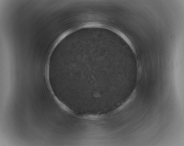 X0000113161245200909111008